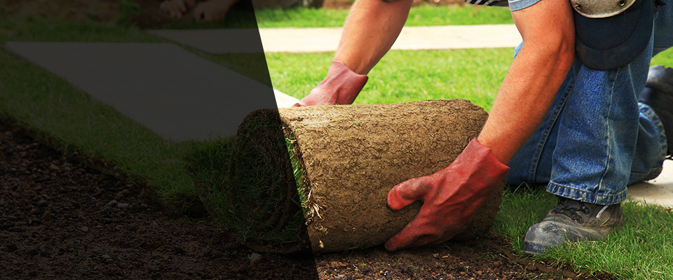 Boyd Landscapers